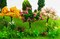 28 Pcs Miniature Fairy Garden Tree Plant Ornament, Mixed Model Trees 1-3 Inches, Miniature Dollhouse Pots Decor Moss Bonsai Micro Landscape